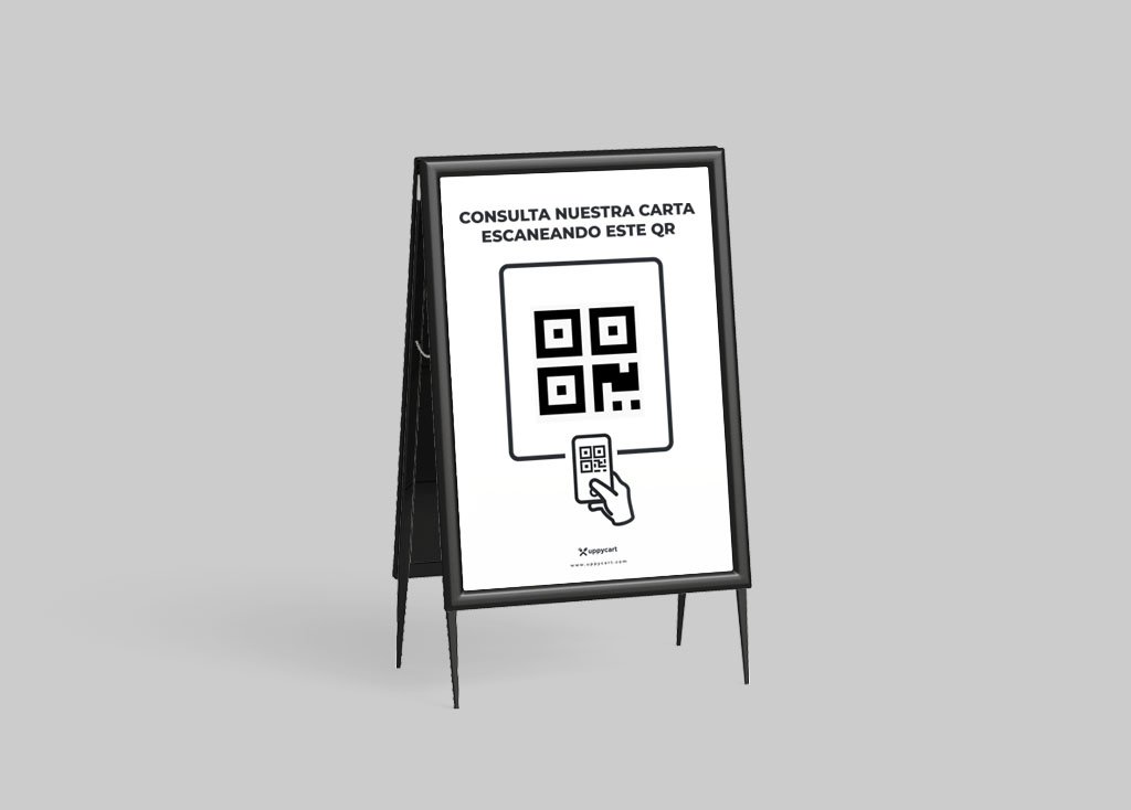 Qr дисплей